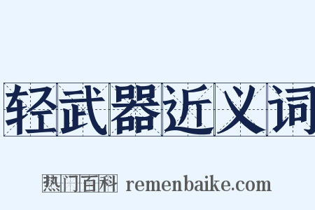 轻武器近义词是什么意思的图片